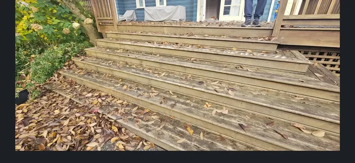 Freshly refinished deck edge and painted exterior