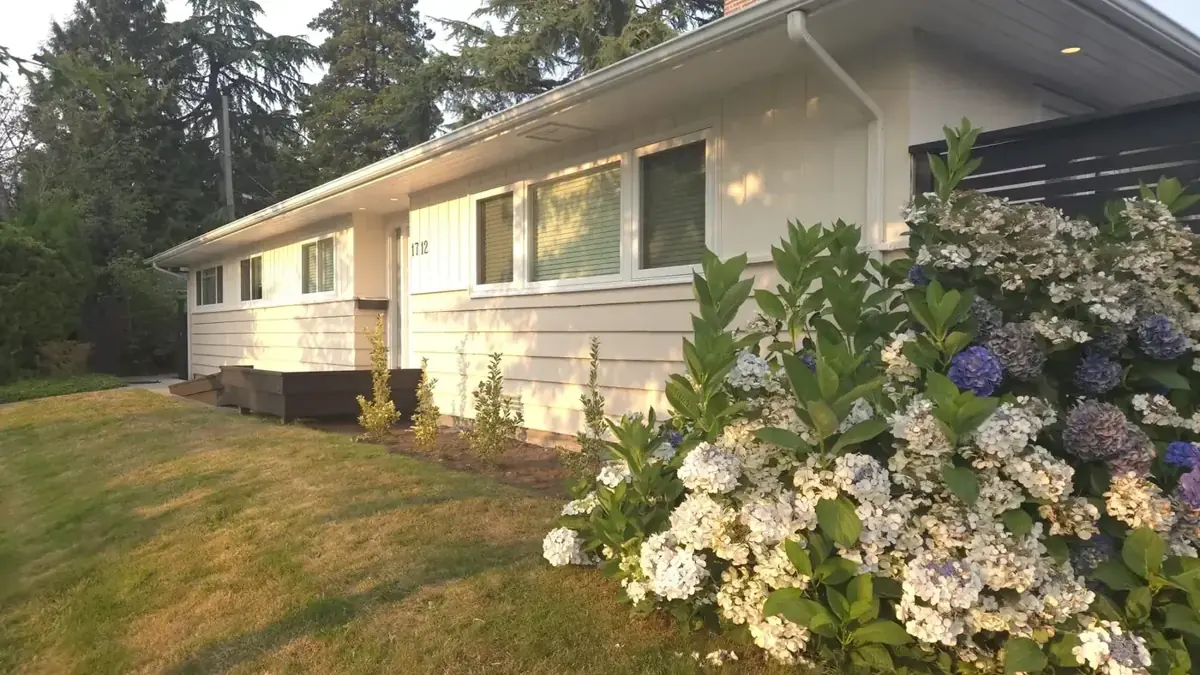 Freshly painted house exterior with flowering hydrangeas